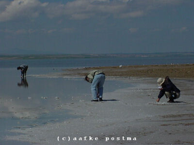 Click to See Next Image