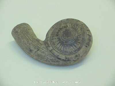 Click to See Next Image