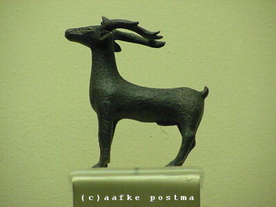 Click to See Next Image