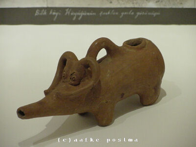 Click to See Next Image