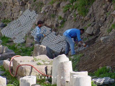 Click to See Next Image