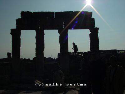 Click to See Next Image