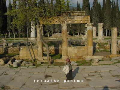 Click to See Next Image