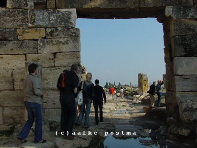 Click to See Next Image