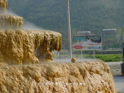 Click to See Next Image