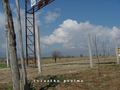 Click to See Next Image