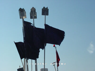 Click to See Next Image