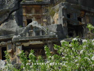 Click to See Next Image