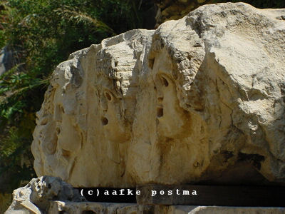 Click to See Next Image