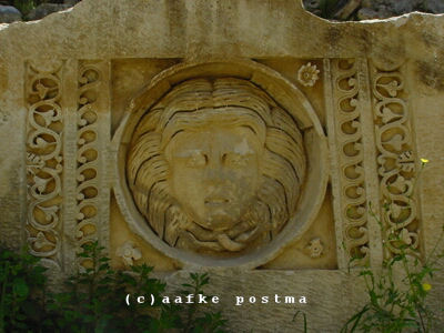 Click to See Next Image