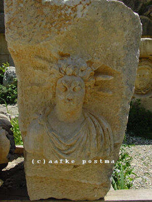 Click to See Next Image