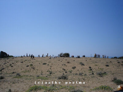 Click to See Next Image