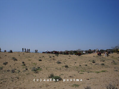 Click to See Next Image