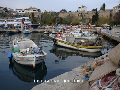 Click to See Next Image