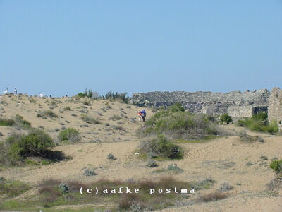 Click to See Next Image