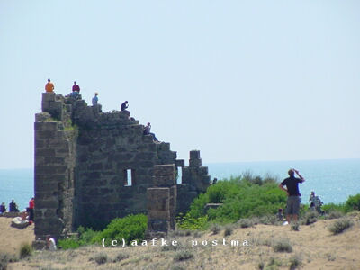 Click to See Next Image