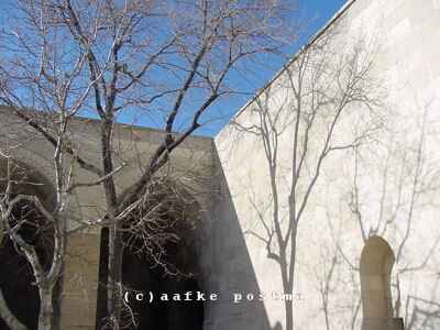 Click to See Next Image