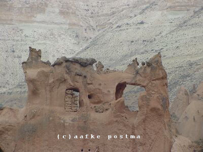 Click to See Next Image