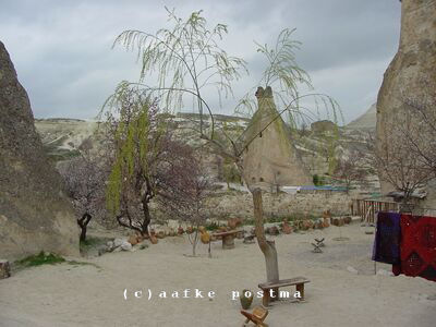 Click to See Next Image