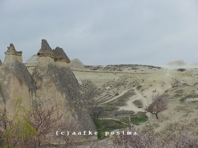 Click to See Next Image